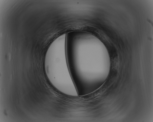 X0000097640505200802290825