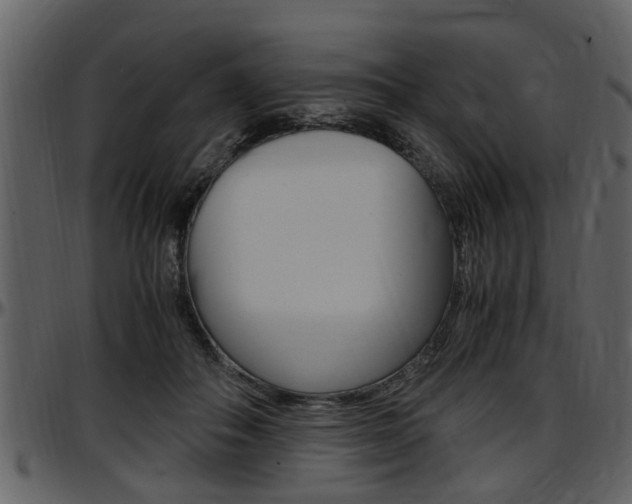X0000097640506200802290825