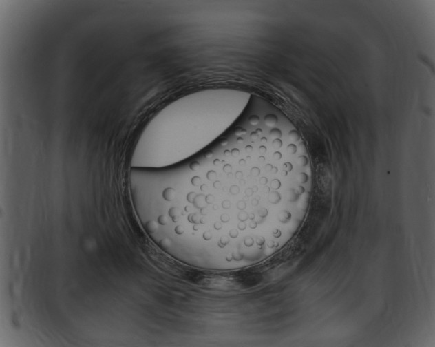 X0000097640507200802290825