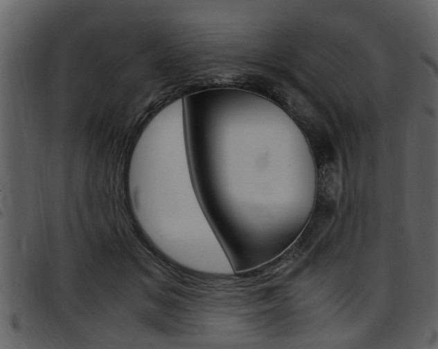 X0000097640509200802290825