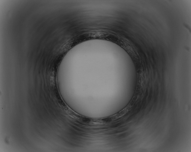 X0000097640510200802290825