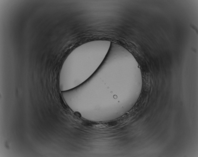 X0000097640511200802290825