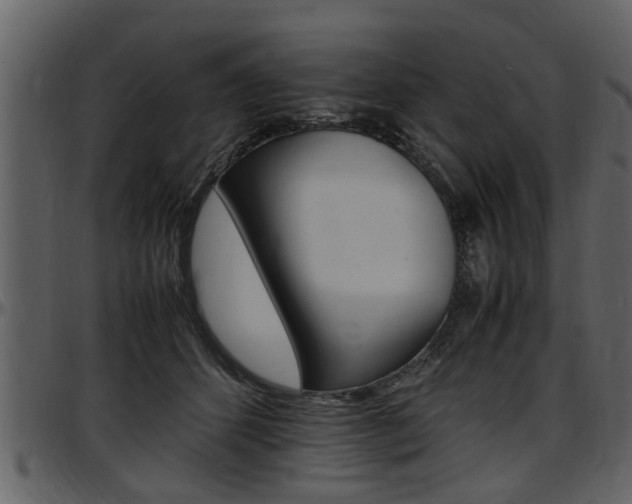 X0000097640512200802290825