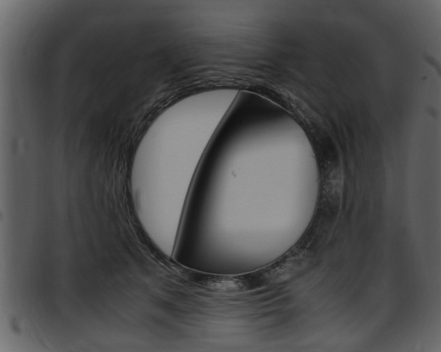X0000097640513200802290825