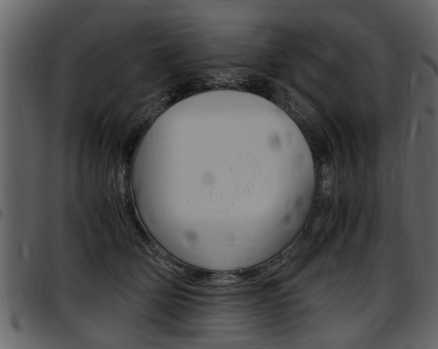 X0000097640514200802290825