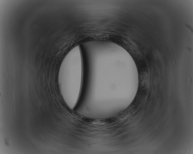 X0000097640515200802290825