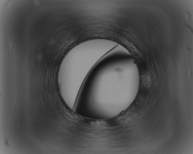 X0000097640517200802290825