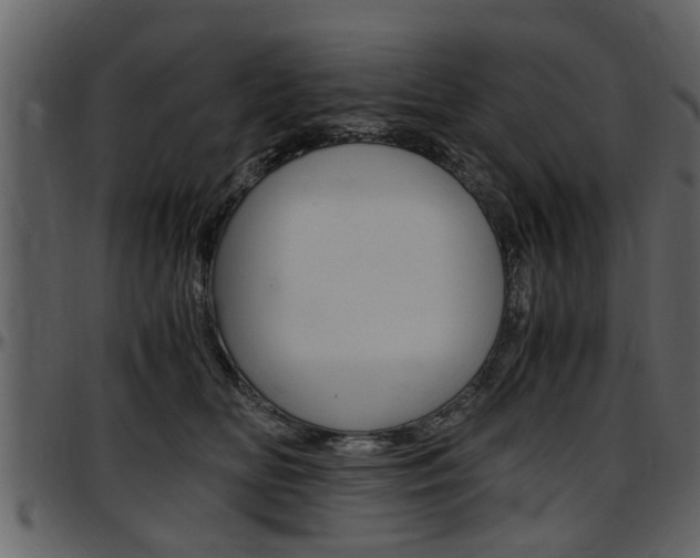 X0000097640518200802290825