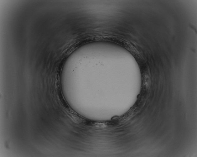 X0000097640519200802290825