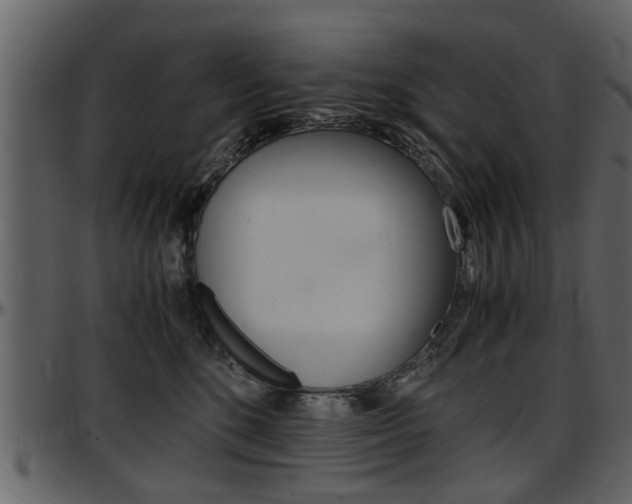 X0000097640520200802290825