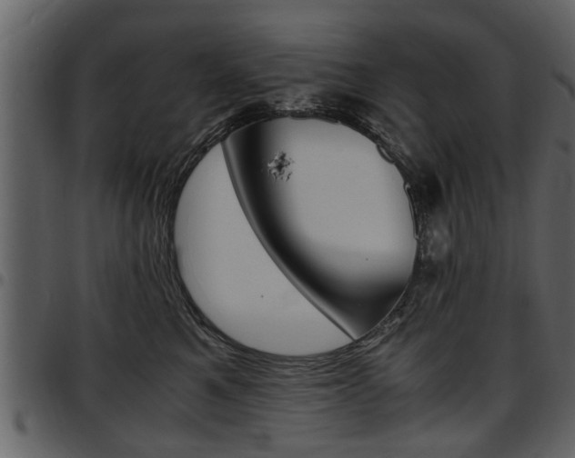 X0000097640521200802290825