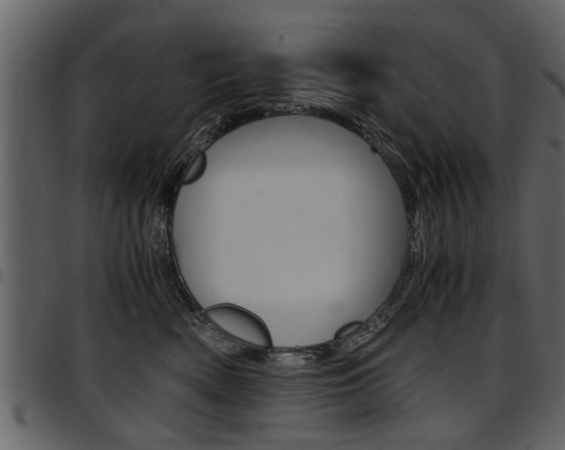 X0000097640522200802290825