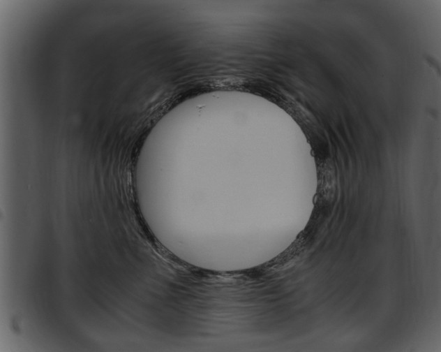 X0000097640523200802290825