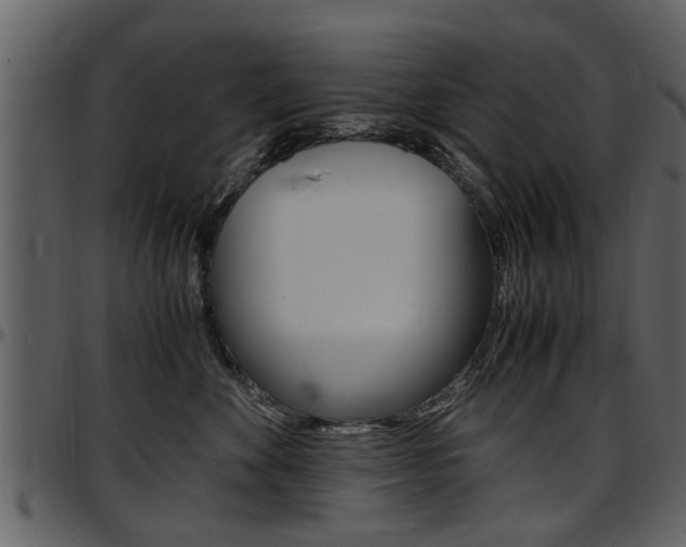X0000097640524200802290825