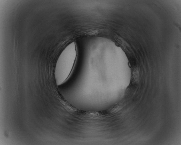 X0000097640525200802290825