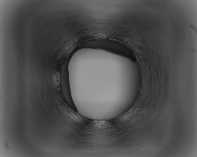 X0000097640528200802290825