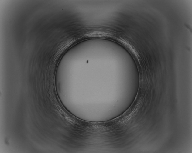 X0000097640529200802290824