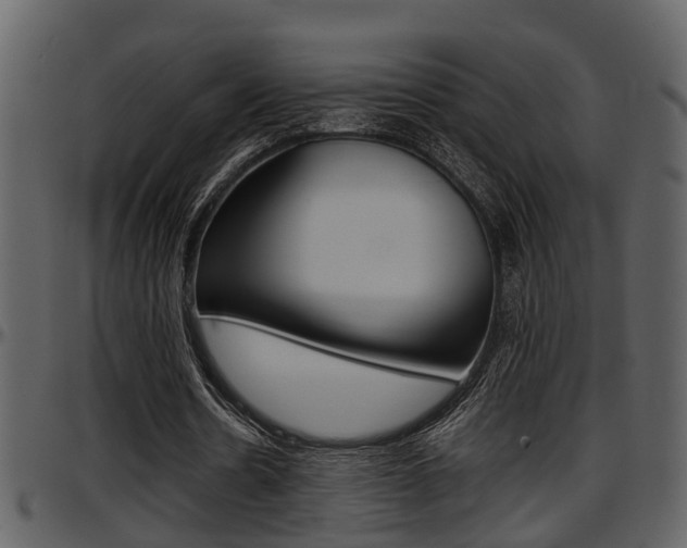 X0000097640530200802290824