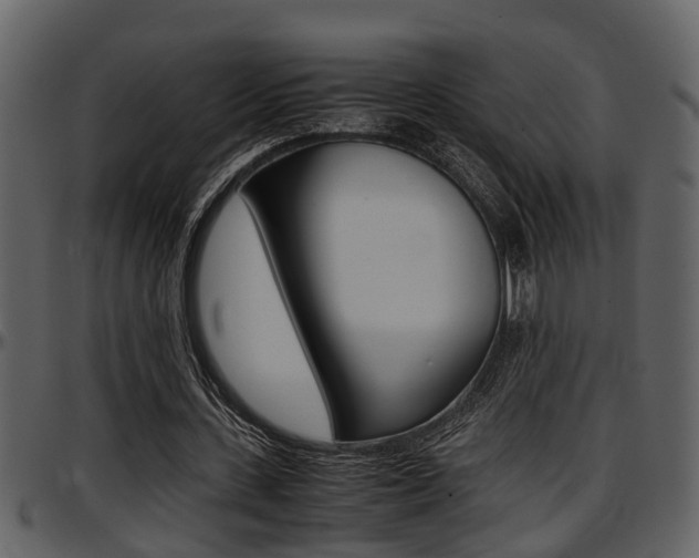 X0000097640531200802290824