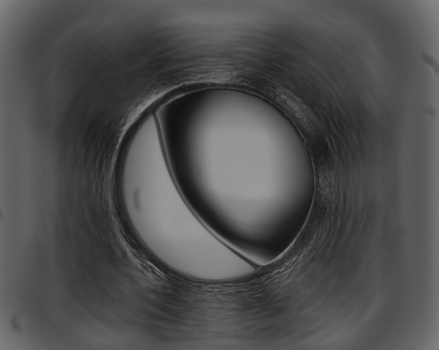 X0000097640532200802290824