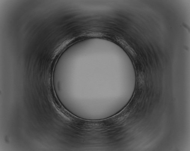 X0000097640533200802290824