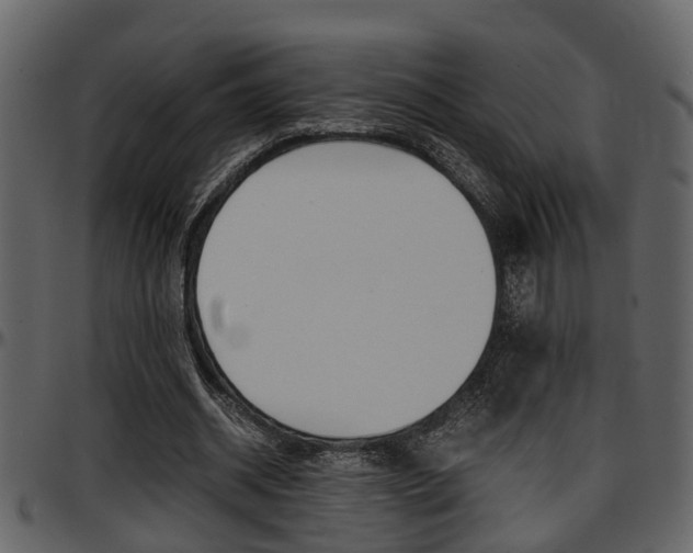 X0000097640534200802290824