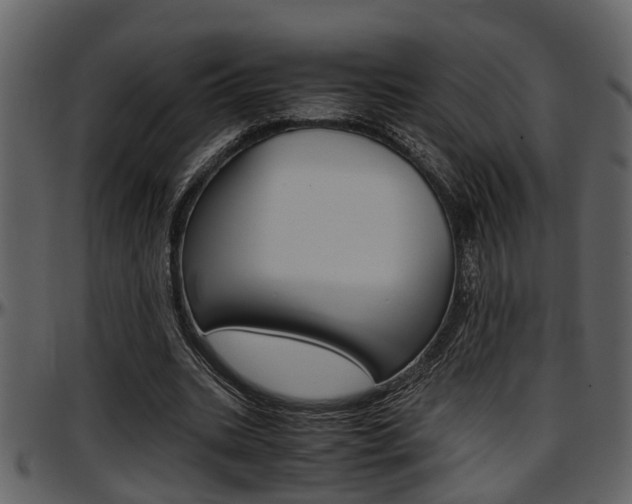 X0000097640535200802290824