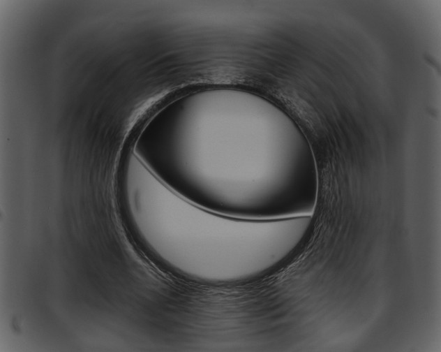 X0000097640536200802290824