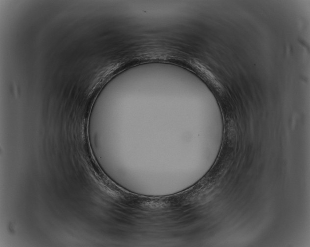 X0000097640537200802290824