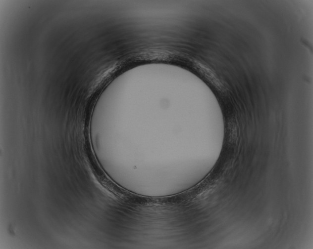 X0000097640538200802290824