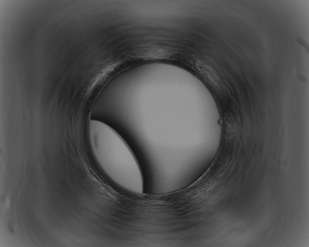 X0000097640539200802290825