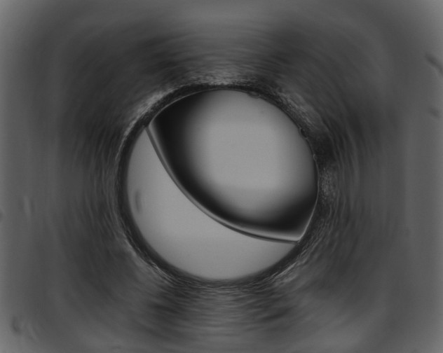 X0000097640540200802290825