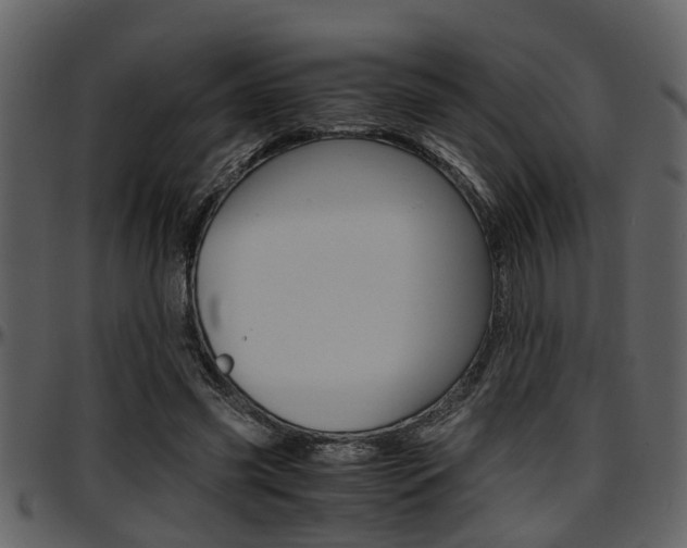 X0000097640541200802290825