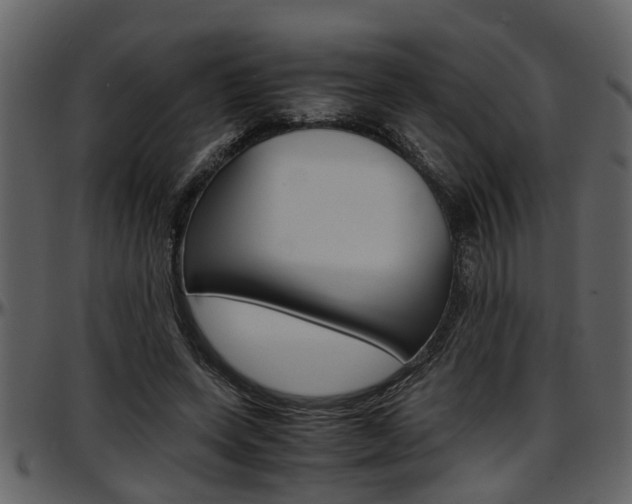 X0000097640543200802290825