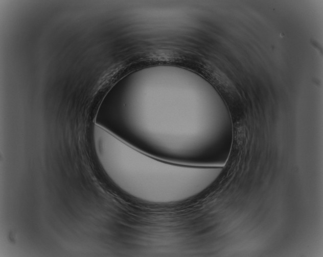 X0000097640544200802290825