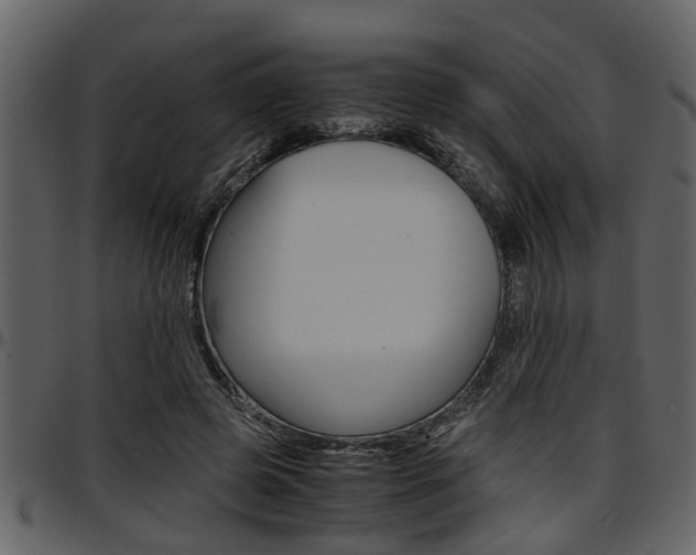 X0000097640545200802290825