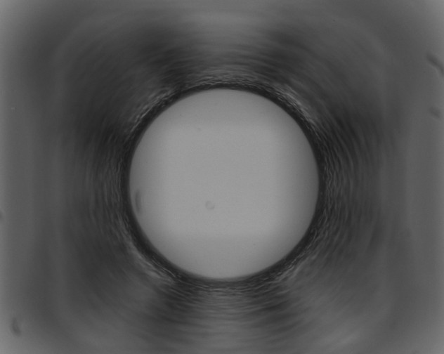 X0000097640546200802290825