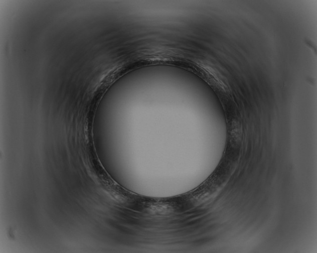 X0000097640547200802290825