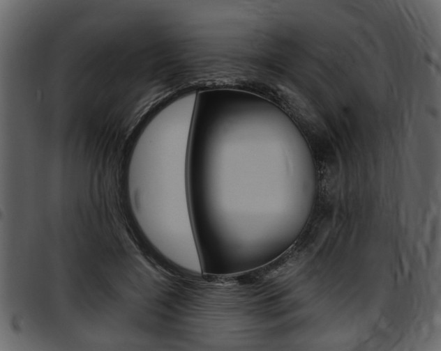 X0000097640548200802290825