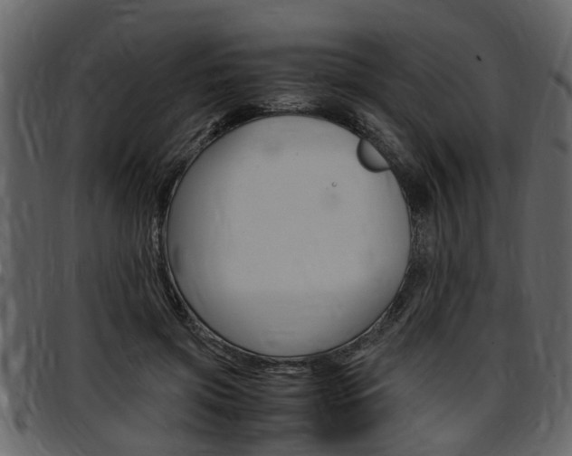 X0000097640549200802290825
