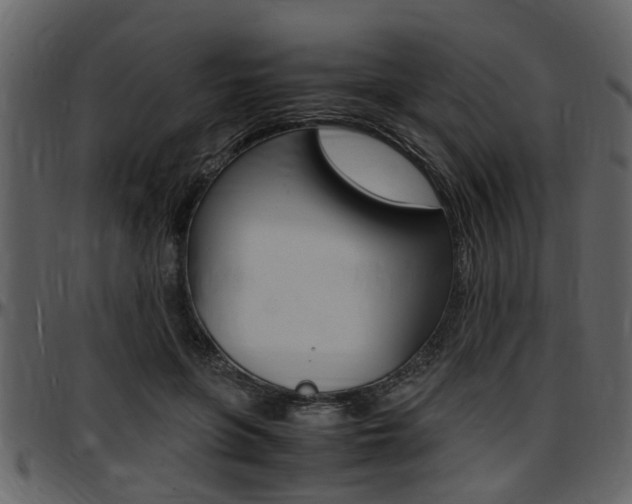 X0000097640551200802290825