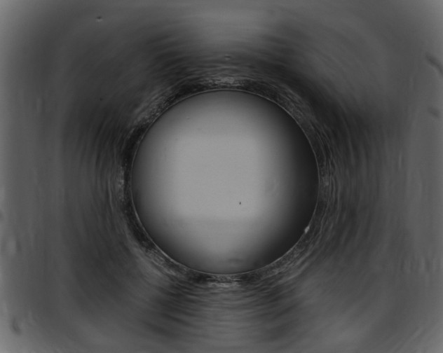 X0000097640552200802290825