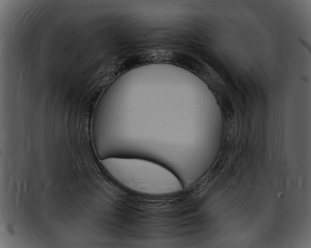 X0000097640553200802290825