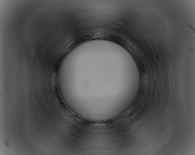 X0000097640554200802290825