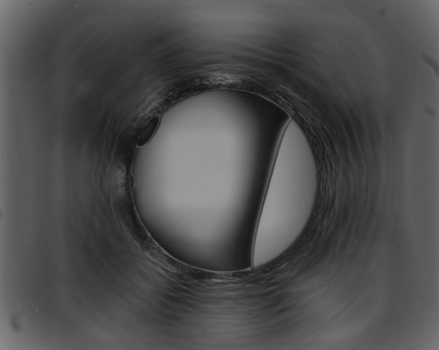 X0000097640556200802290825
