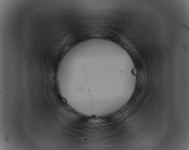 X0000097640557200802290825