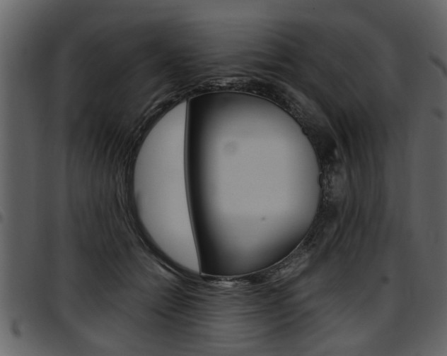 X0000097640558200802290825