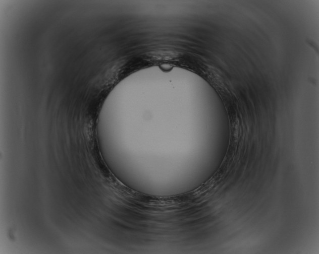 X0000097640559200802290825
