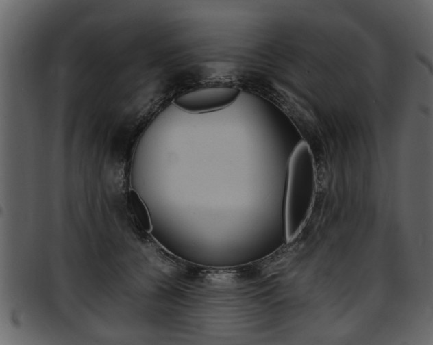 X0000097640560200802290825