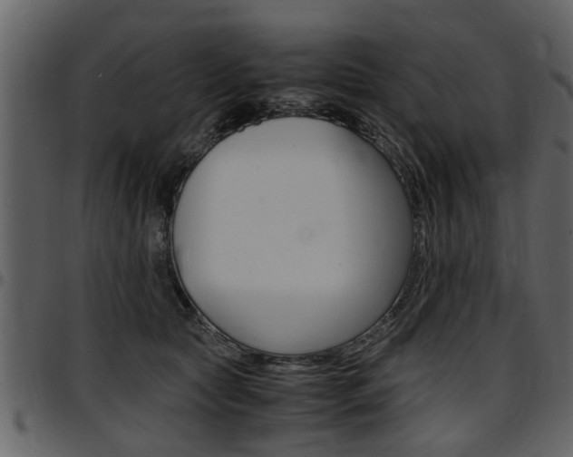 X0000097640561200802290825